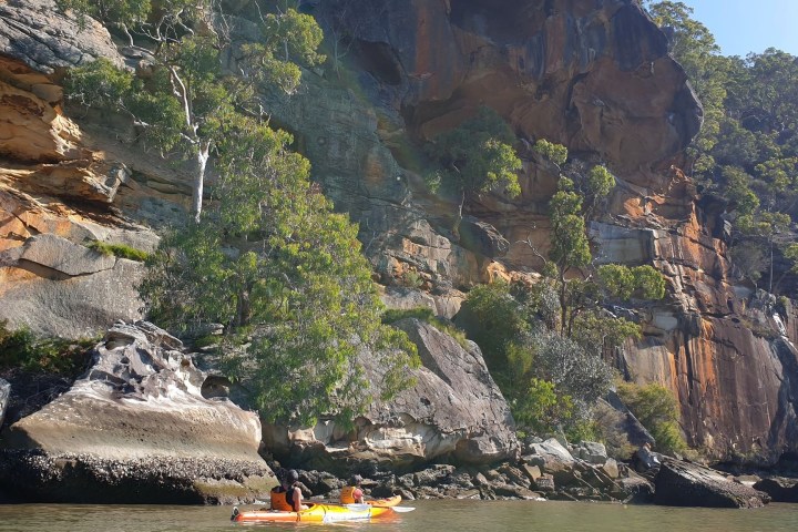 a rocky river with trees on the side of a mountain