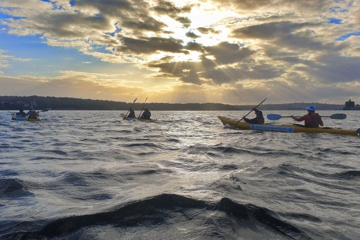 a boat sitting on top of a sandy beach
