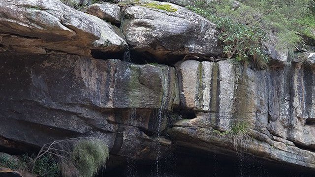 a giraffe standing next to a rock wall