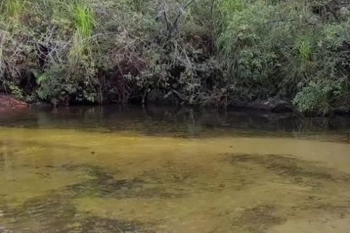 a river running through a body of water