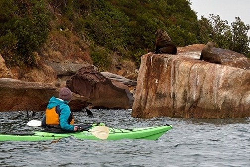 a group of people on a rock next to water