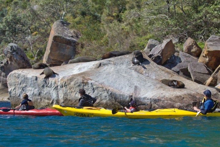 a group of people on a raft in a pool of water