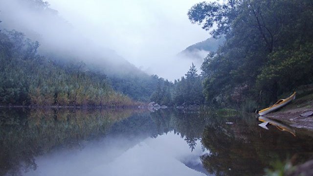 a body of water surrounded by trees